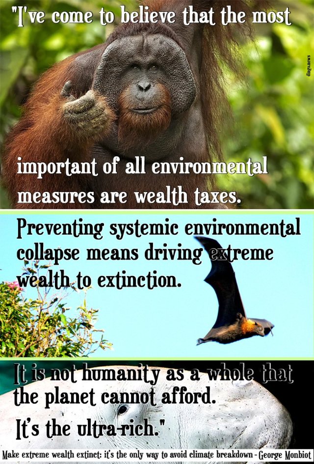 WILDLIFE CLUBS OF UGANDA Twitter