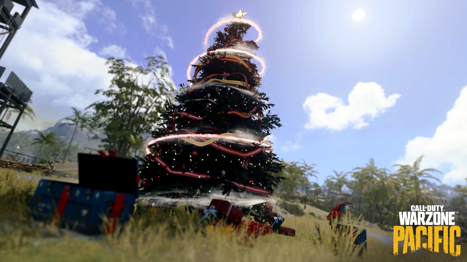 Festive Fir trees in Warzone Pacific 