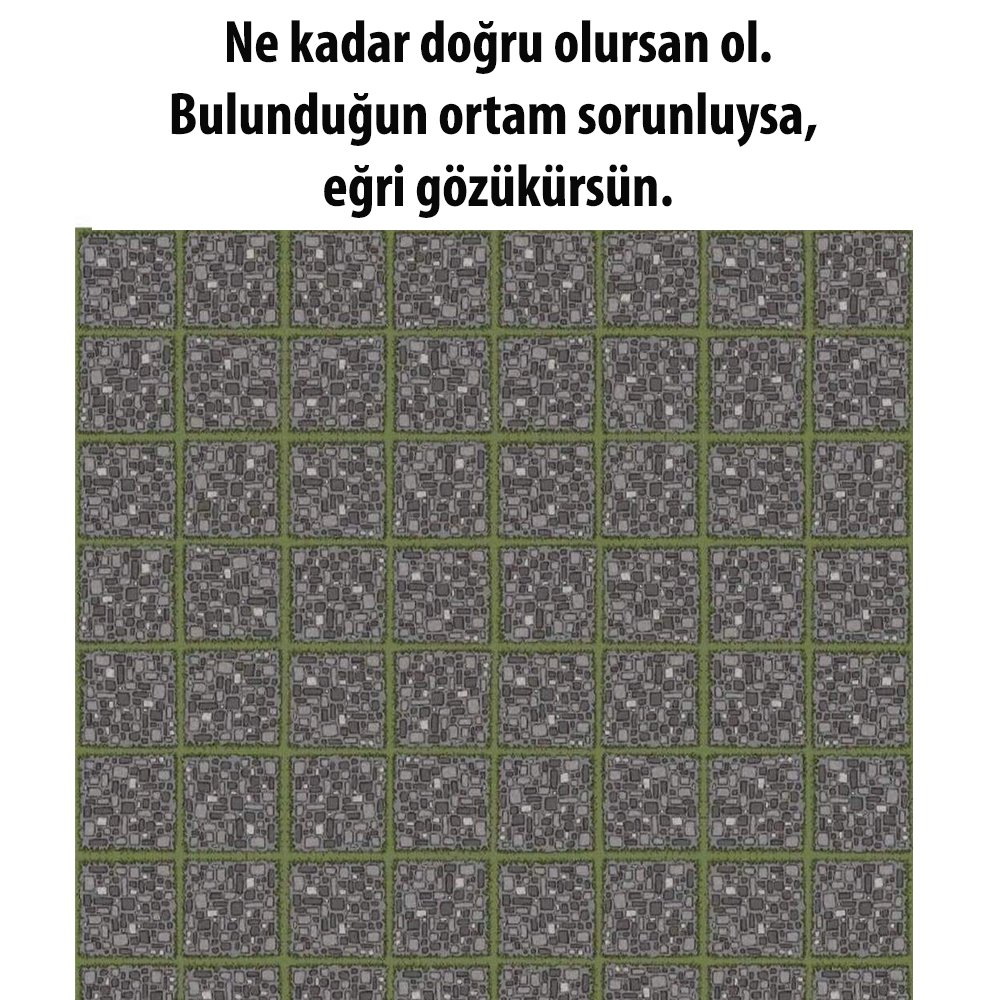 Bazen her şeyi doğru yaparsın ama sonuç insanlara eğri gözükür. Bu durumda sorun doğrularında değildir.
Doğrularını inşa etmeye çalıştığın yerdedir.  Güzel fikirlerinizi ölü topraklara gömmeyin. Doğru yeri bulmak için sabredin. Elbet bir yerlerde karşınıza çıkacaktır :)