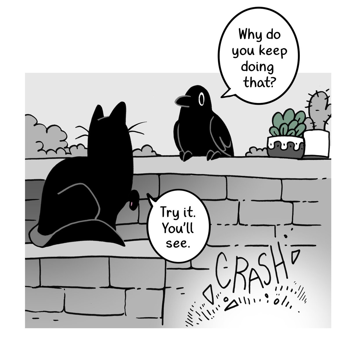 New Crow Time~ (1/2) 
