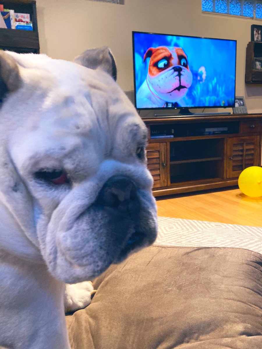 MissCamiFlage's tweet photo. Watching @Beat_Bugs with the tiny humans.. “Hey Bulldog” is probably my favorite..they probably should’ve just cast me for the video 🤪 #youcantalktome #ifyourelonelyyoucantalktome #bulldog #DogsofTwittter #bulldogsoftwitter #beatles #beatbugs #thebeatlesnevergetold #biggestfan https://t.co/l9RSnceqmo