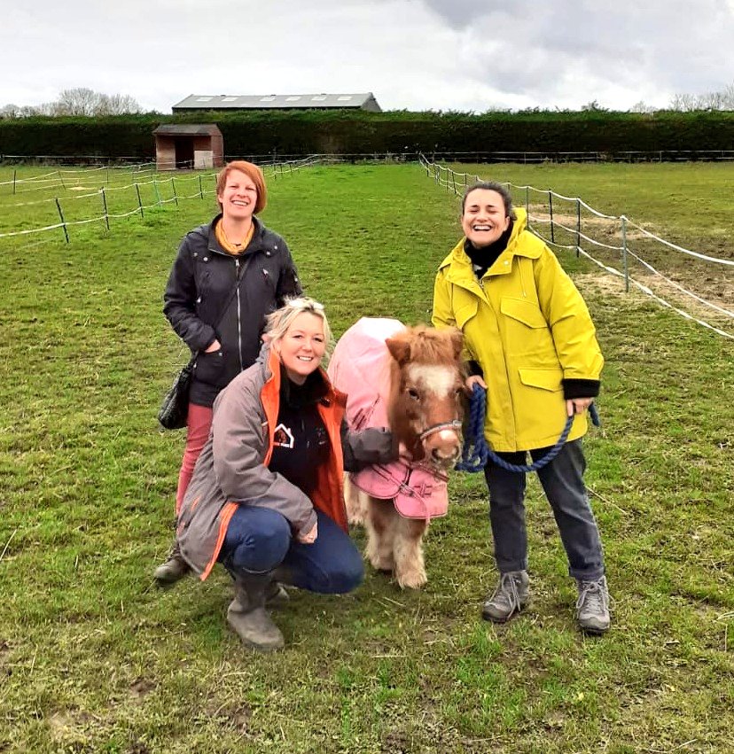 Our YES team had a great meeting with <a href="/DinaCShale/">The Way of the Horse Discovery Center</a> at The Way of the Horse today! Looking forward to developing a wellbeing/employability programme in partnership #TogetherWeCan