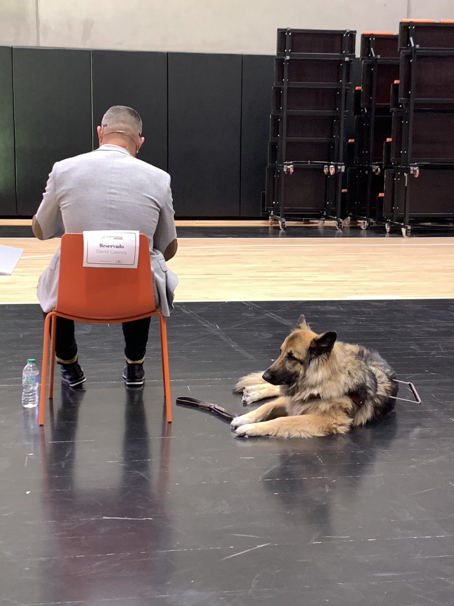 martatorrado's tweet photo. En la Gala del Deporte Adaptado de @plazadeportiva_ @valenciaplaza con mi compañero de @popularesVLC @validovalencia y con un maestro de ceremonias de lujo @DavidCasinos y su extraordinaria #Farala🐶 https://t.co/dvN9muWNg4
