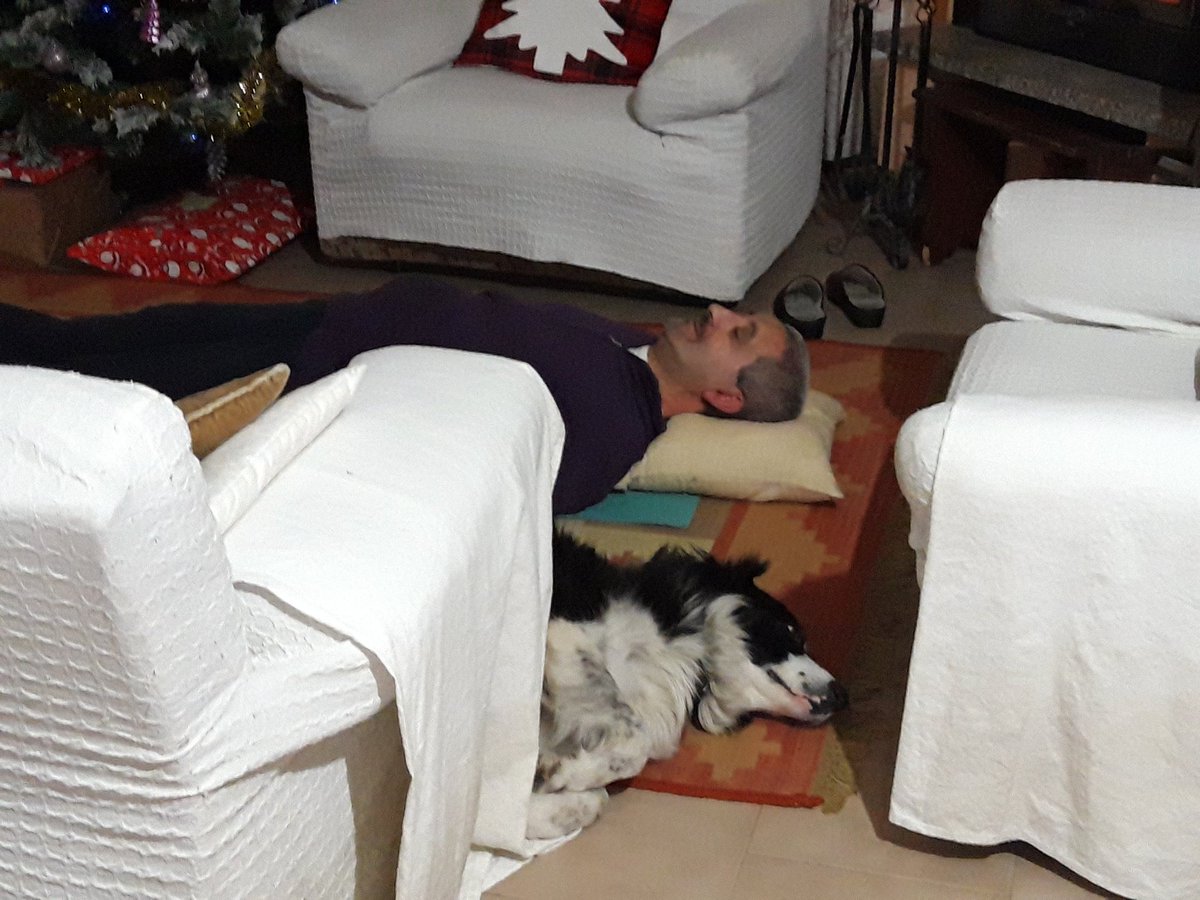 chmeluz's tweet photo. My fate doing yoga... with our dog!
#dogs #lokithedog https://t.co/4kcbL8scoX