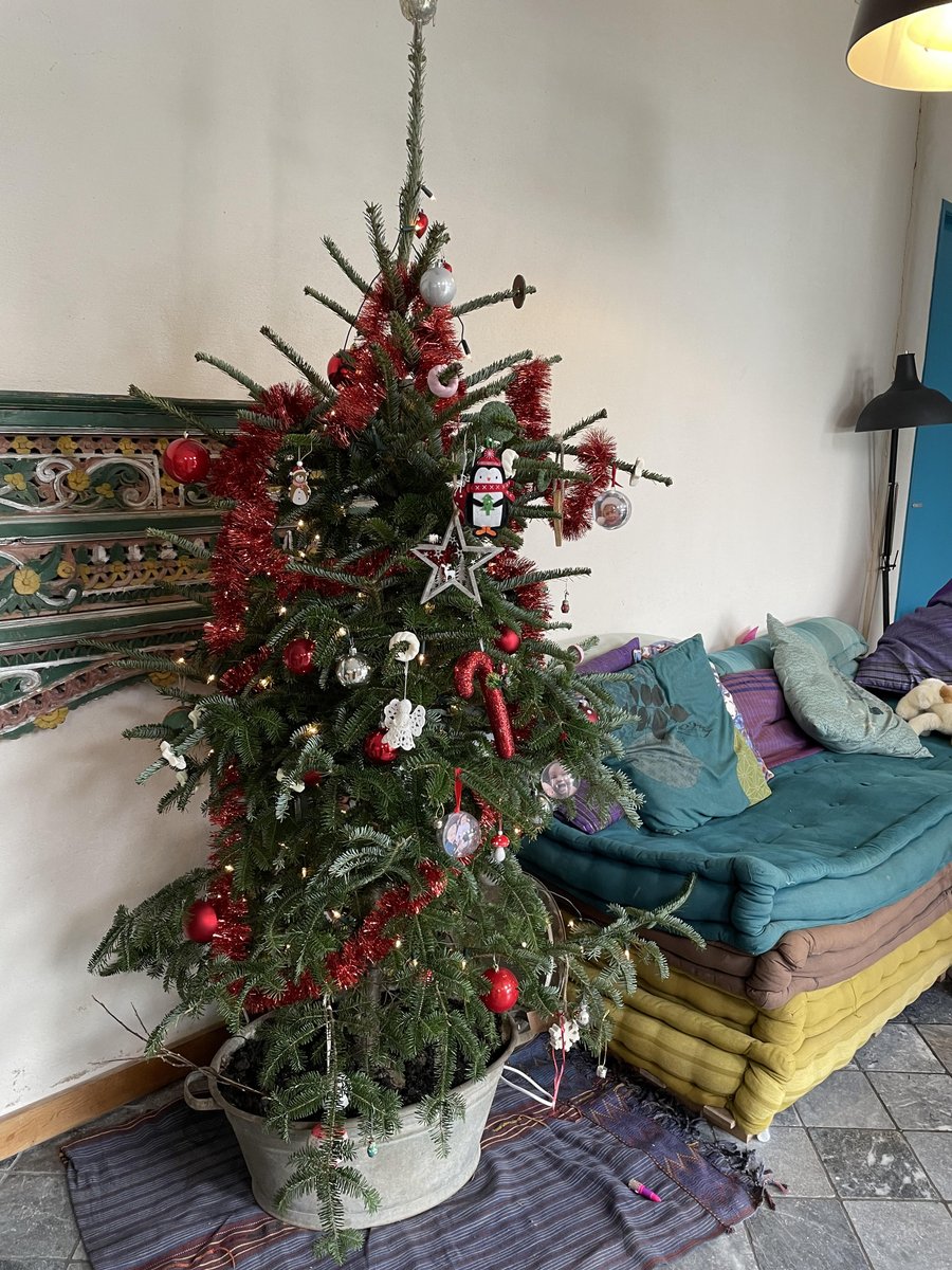 janlammert's tweet photo. Dit jaar hebben we een heel lieve #kerstboom. Want ook lieve kerstbomen hebben een plekje nodig in de winter. Volgend jaar kiest overigens @margriettolsma  denk ik weer onze kerstboom. #mooiebaby's en #lievebaby's https://t.co/r1FcrLxOAd