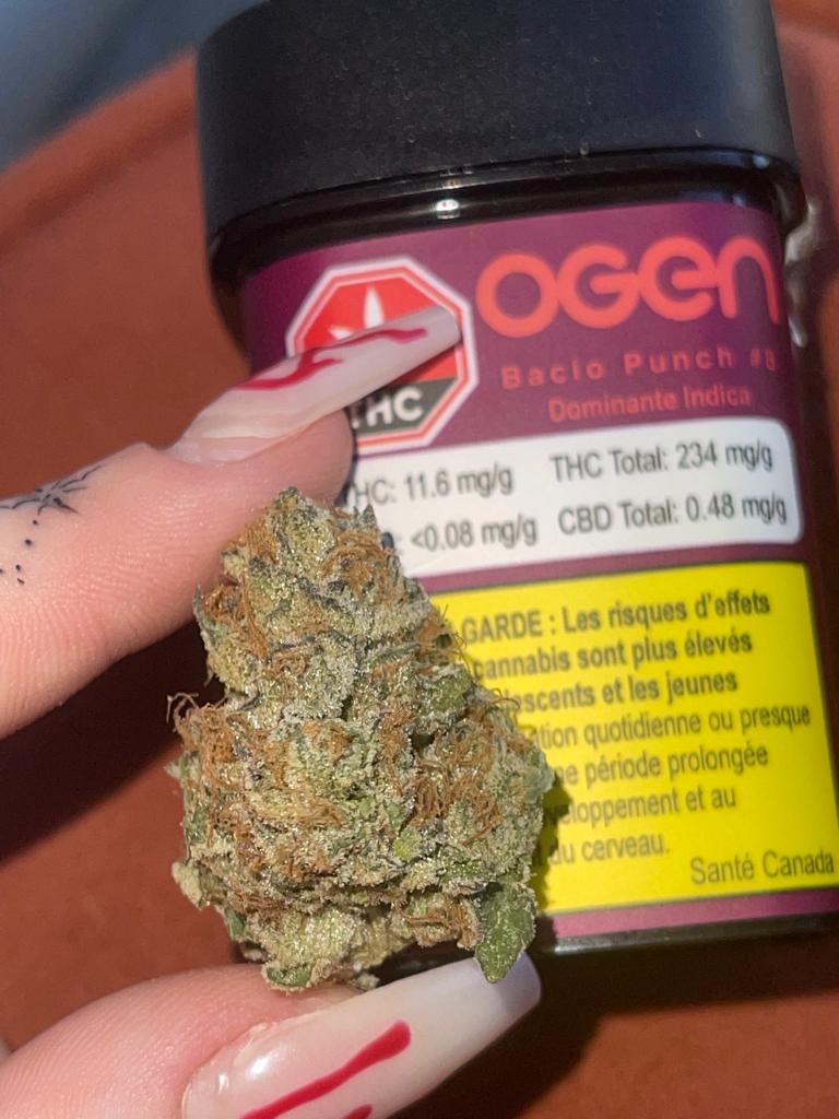 Bacio Punch #3 (Gelato 41 x Purple Punch) by <a href="/OGENcultivator/">OGEN</a>.
