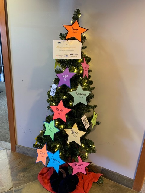 ' Rise Against Suicide helps youth at risk of suicide by removing the financial and social barriers to treatment, enabling them to find hope and healing. Rise Against Suicide is having its 3rd Holiday Star Program.