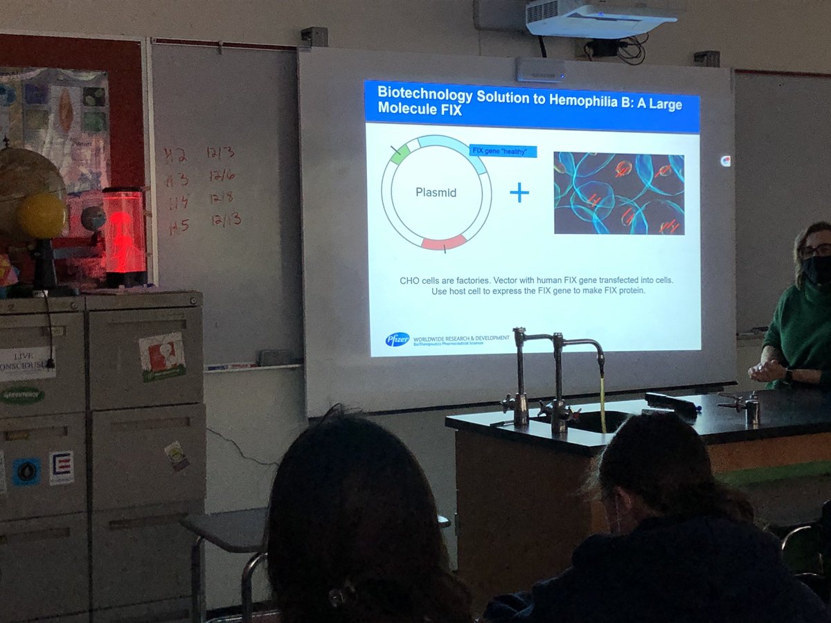 #BioBuilderClub students had a great visit from a parent who works at Pfizer, who shared the exciting world of large molecule production from cells. 🧬🧬🧬 <a href="/AndoverHS_Princ/">Caitlin Brown</a>