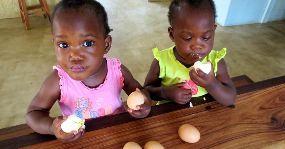 Egg Farmers tweet media