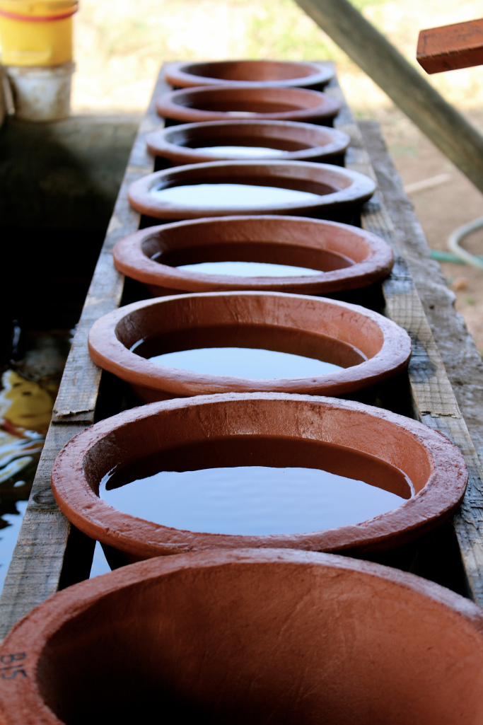 PureMadi tweet media