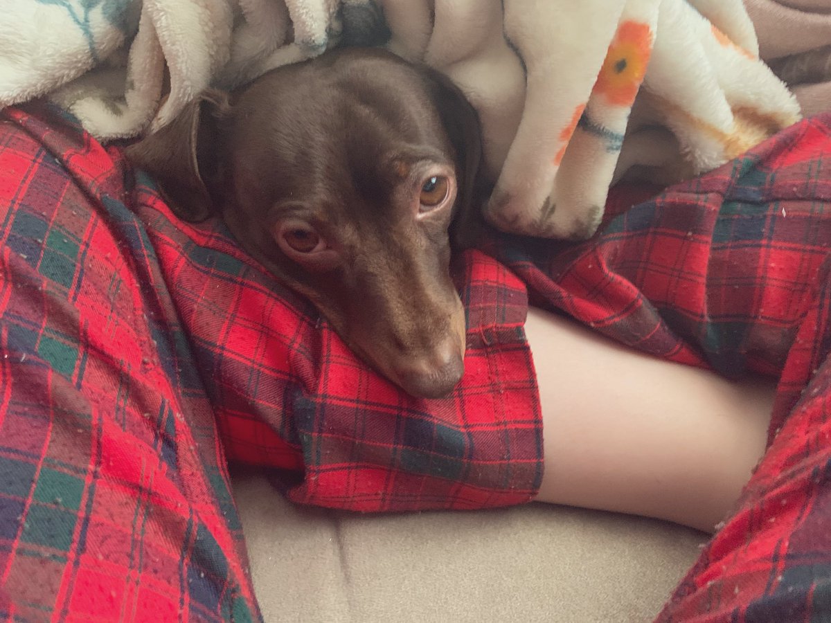 Cuddling my boy on his birthday