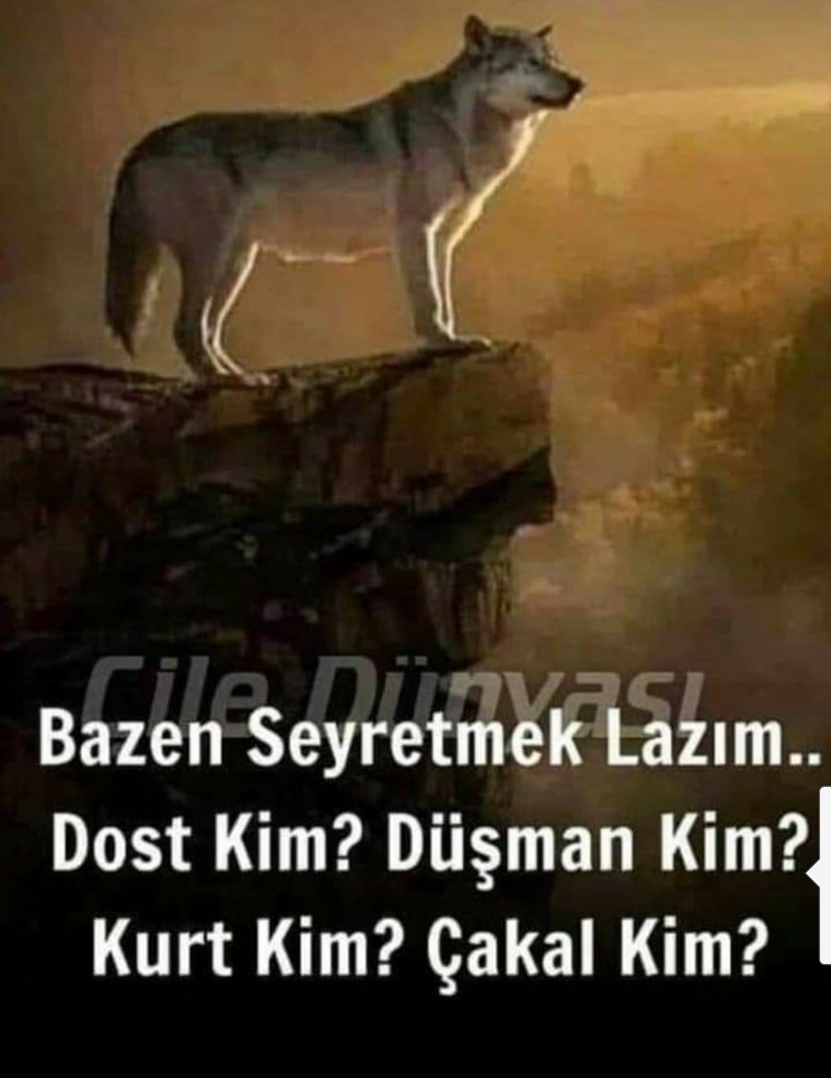 baris_6635's tweet photo. @CwVoLqaN 👏👏 https://t.co/c8qChUk8vc