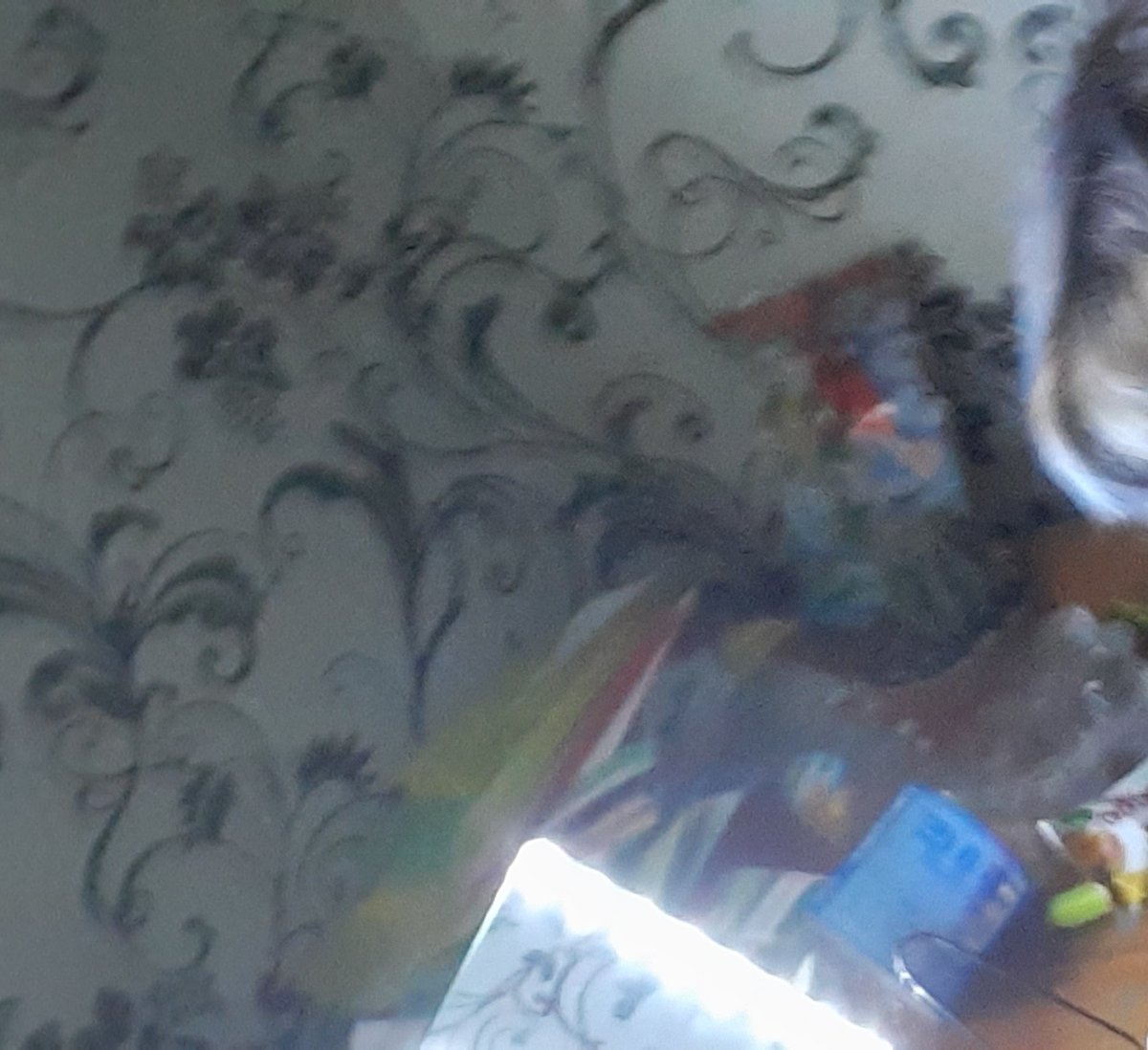 Pidar_Tao's tweet image. 4 рандомные фотки из раздела "камера" 

Какого персонажа это могла бы быть галерея?