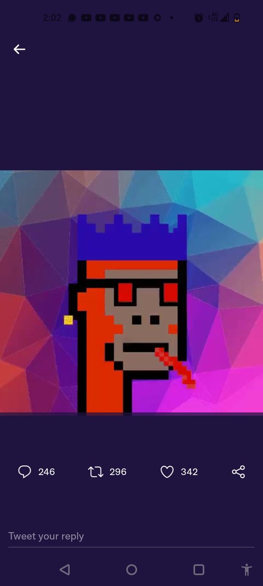 CryptoMatta's tweet photo. @KadenaKongs @shotsbymatta https://t.co/LRiTmwPl6H