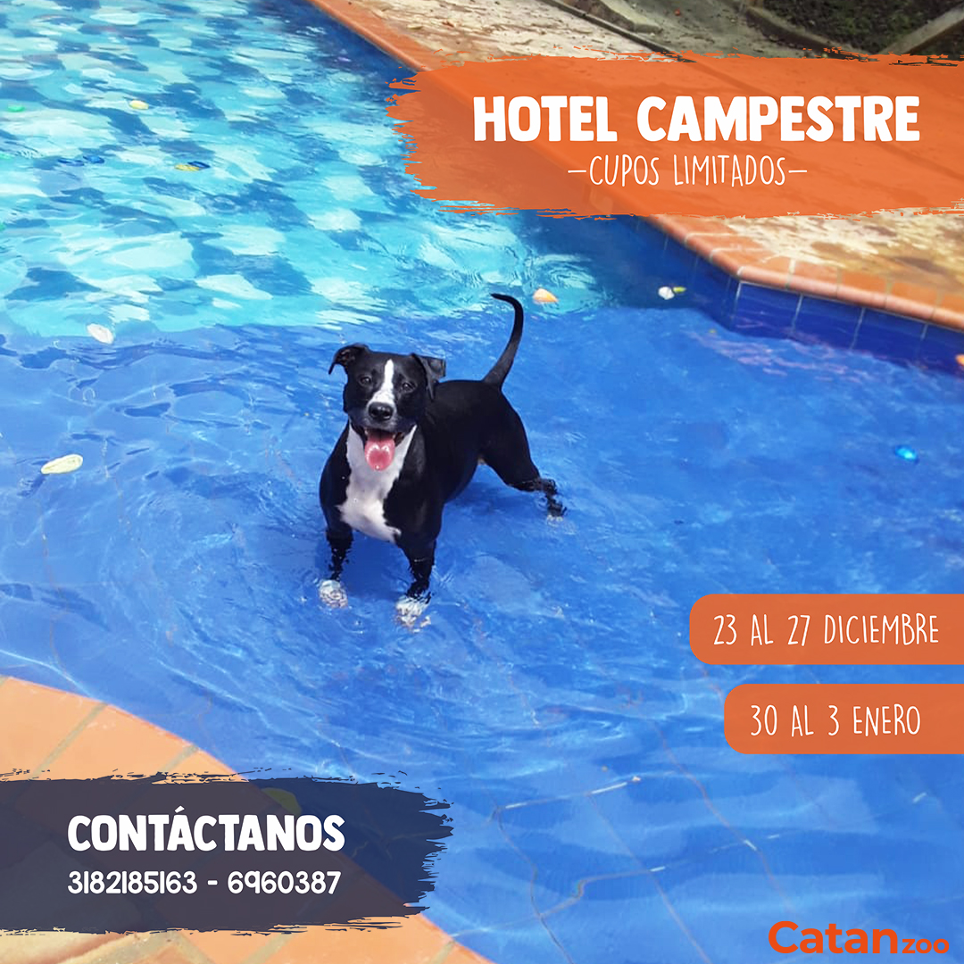 catanzoo's tweet photo. 🔴ULTIMOS CUPOS

Reserva el hotel de tu peludo para esas fechas de festividades. Aplica transporte Gratis para las fechas estipuladas. Aplica términos y condiciones...

TEN EN CUENTA
Tu peludo debe tener vigente su #plansanitario 

Contáctanos 3182185163 

 #hotelcampestrecanino https://t.co/Yq4KfyOECJ