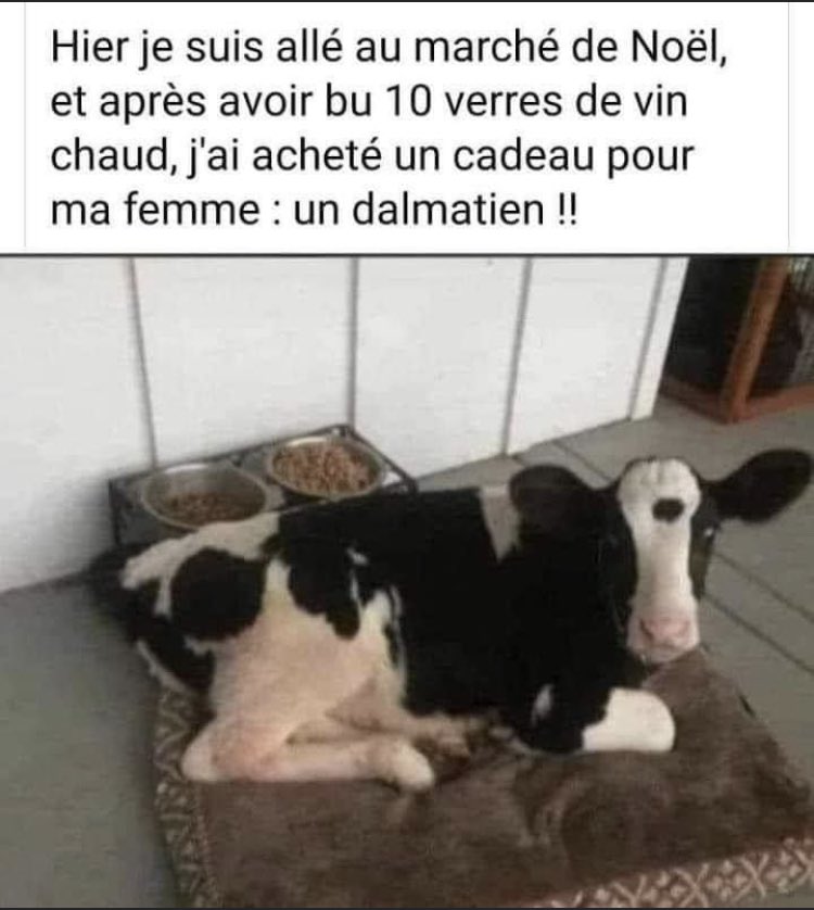 StefCrocket's tweet photo. #unJourUnChamois notre député vétérinaire #LoicDombreval n a qu à bien se tenir, y a aussi fort que lui !
#CestEnPostantNimporteQuoiquOnPassePourUneTruffe https://t.co/fJKJhKpB6C