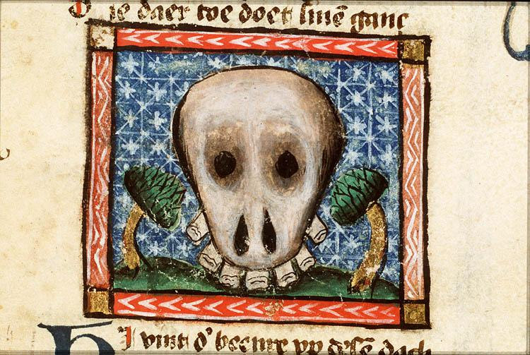 MemesMedieval's tweet photo. #Medieval #notaskull or '#Skull of a Teuton' in: Jacob van Maerlant, Der Naturen Bloeme, 1450-1500, @KB_Nederland #library, 76 E 4 fol. 6v. https://t.co/jm1In22hs2 2/2 https://t.co/jxAa04ShK2