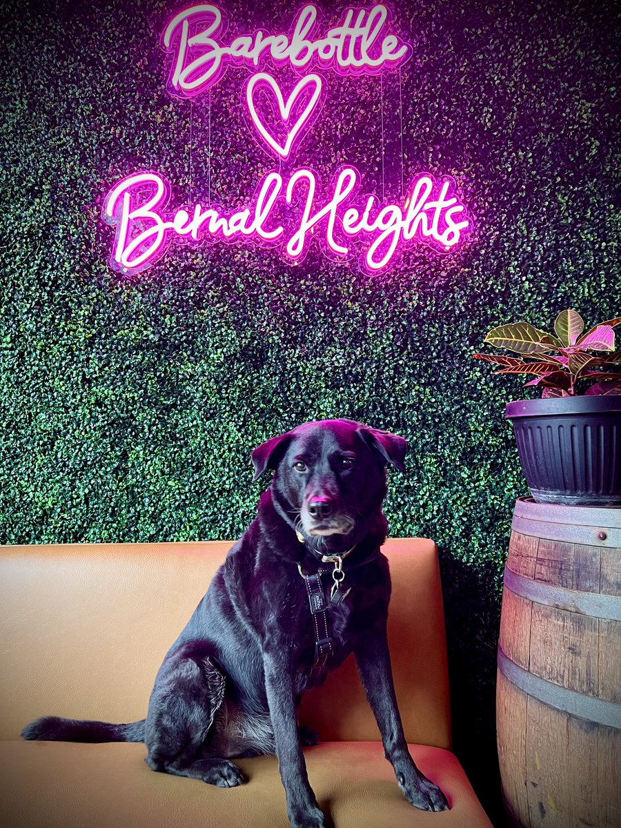 sweattracker's tweet image. ‘Twas the run before Christmas…
See you all in 2022!
🏙 + 🍺 + 🎄 + 🏃🏻 = 😊 
City Beer Runs @barebottle 5k/10k
SweatTracker.com/CityBeerRuns

#SweatTracker
#citybeerruns
#beer
#run
#running
#sanfrancisco
#beerrun
#runner
#barebottle 
#christmas
#missuniverse