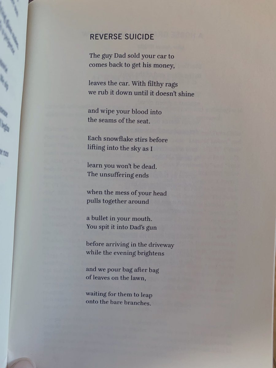 Honey Month by Sadie Shorr-Parks Honey Month by Sadie Shorr-Parks