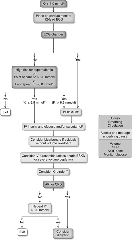 EJ_Emergency_Med (@ej_emergencymed) on Twitter photo Management of acute hyperkalemia in the emergency department, a worldwide review by G Lindner from <a href="/SOspitaeler/">Solothurner Spitäler</a> with <a href="/CMClase/">Catherine Clase 😷🌈🦋</a>, <a href="/BHemmelgarn1/">Brenda Hemmelgarn</a>, <a href="/pecoitsfilho/">Roberto Pecoits-Filho</a>.
journals.lww.com/euro-emergency… Management of acute hyperkalemia in the emergency department, a worldwide review by G Lindner from <a href="/SOspitaeler/">Solothurner Spitäler</a> with <a href="/CMClase/">Catherine Clase 😷🌈🦋</a>, <a href="/BHemmelgarn1/">Brenda Hemmelgarn</a>, <a href="/pecoitsfilho/">Roberto Pecoits-Filho</a>.
journals.lww.com/euro-emergency…