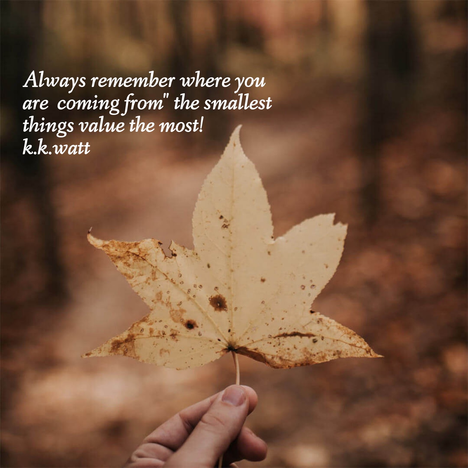 Meaningful Reality Of Life Quotes Reality Of Life Inspirational Quotes! (@Realityoflifei1) / Twitter