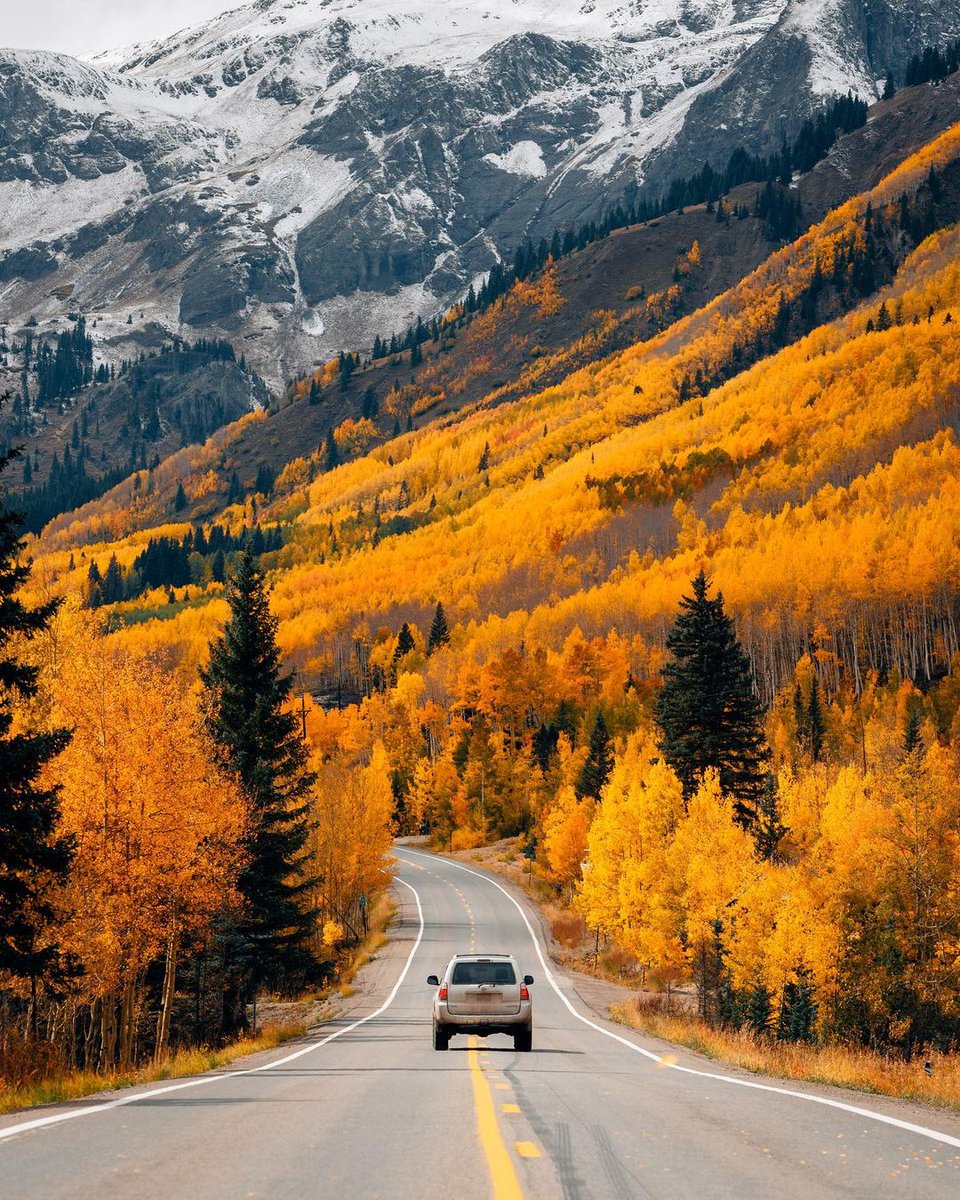 'Autumn views from Independence Pass, central Colorado. From u/ManiaforBeatles on /r/mostbeautiful #independencepass #centralcolorado #autumnviews #mostbeautiful'