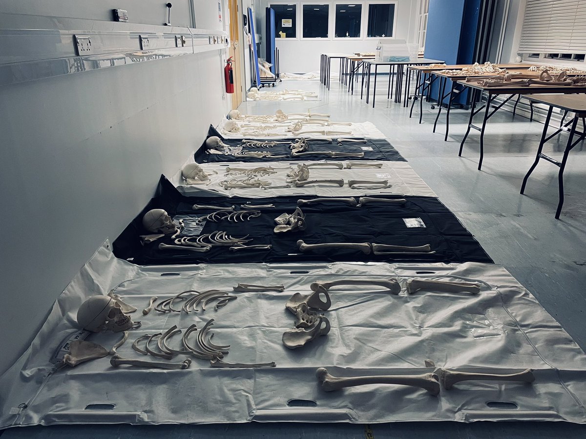 Sammijoanne's tweet photo. Our crime scene room has had a drastic change of scenery today…

They’re not real. They’re plastic 🖤 https://t.co/bLOWWPDLkz