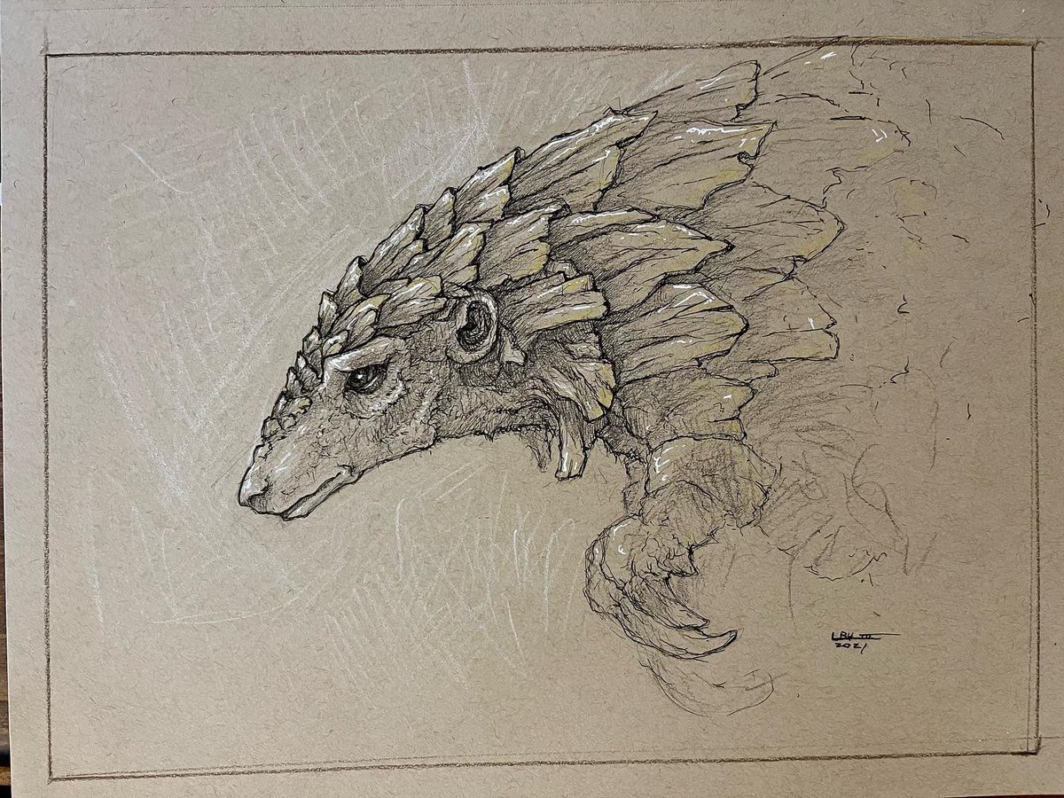 drgnflghtimages's tweet image. A pangolin! Love these little guys! The 3rd Saturday in February is #worldpangolinday Right around the corner!

#pangolins #pangolinart #wildlife #wildlifeart #wildlifesketch #pen #penandink #coloredpencil #coloredpencilart