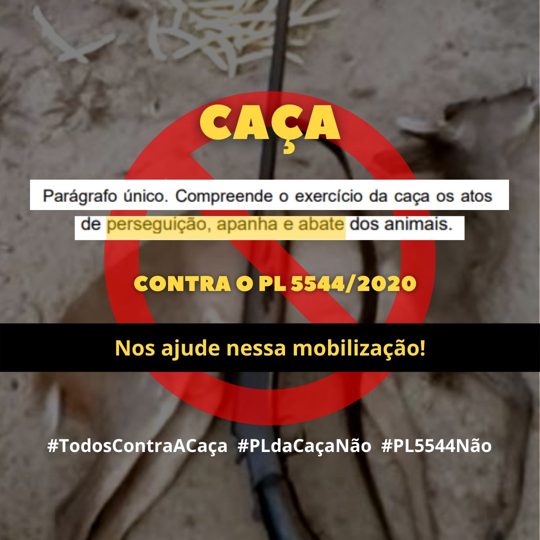 É correto perseguir e atirar em um animal, no meio de seu habitat natural, por pura diversão? Solicitamos a retirada do PL 5544/2020 da pauta da CMADS! #TodosContraACaça #PLdaCaçaNão #PL5544Não