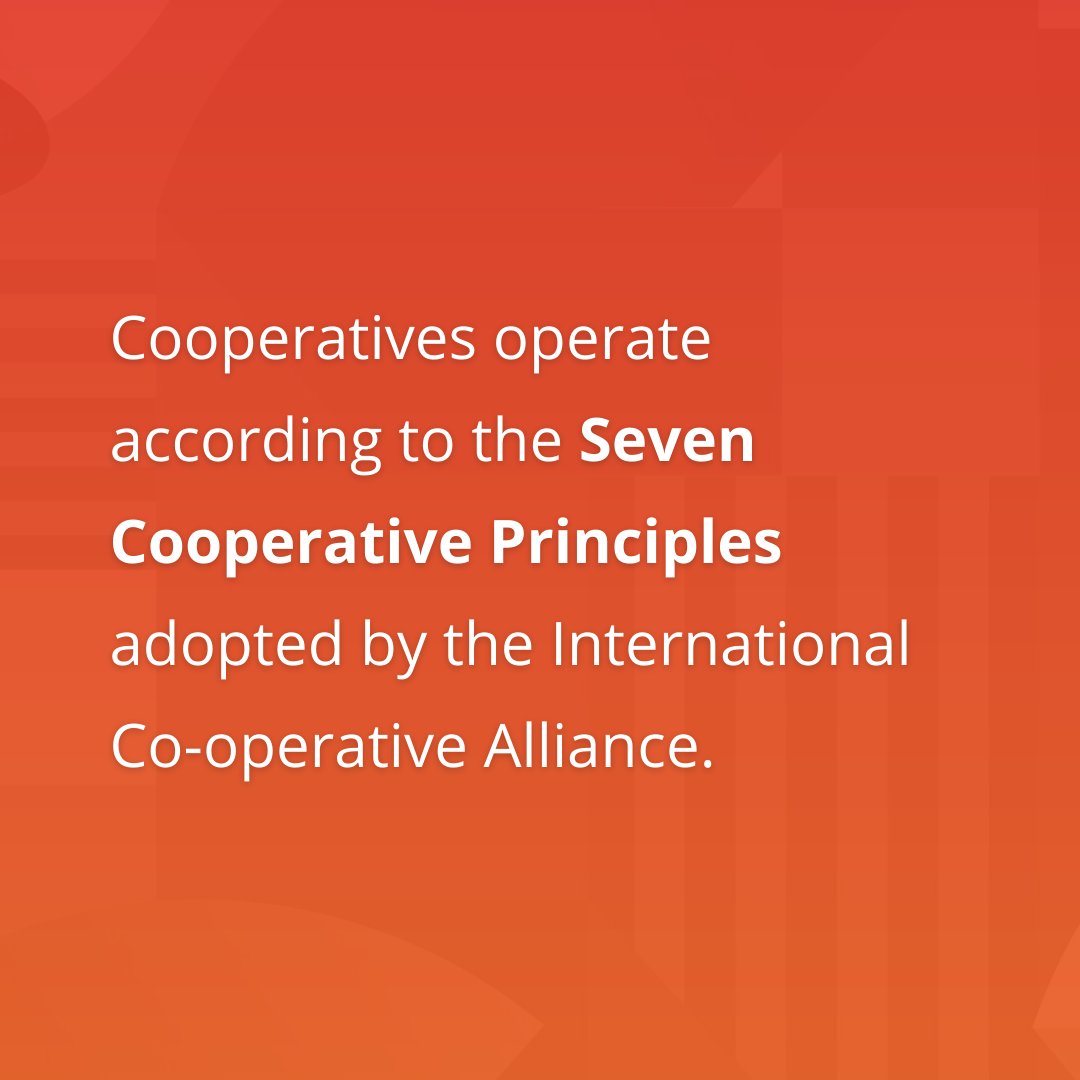 Learn some of the basics of a worker cooperative, the most common form of employee ownership in the world, below!
