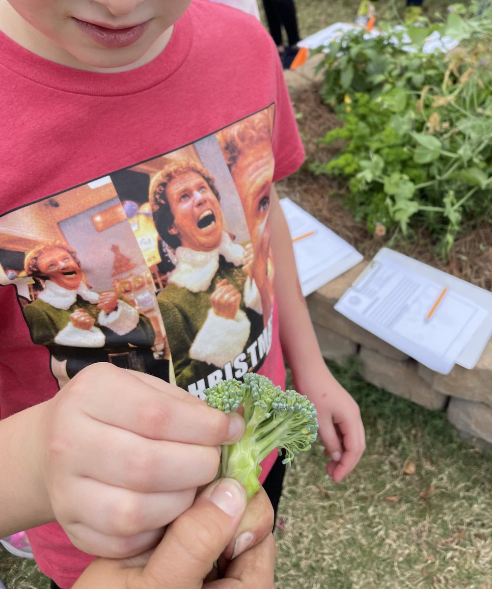 Mrs. Irshad (@irshadrtgg) on Twitter photo Broccoli tasting is happening in the <a href="/CFISDWells/">Wells Elementary</a> #SchoolGarden today! π₯¦π₯¦ <a href="/readygrowgarden/">Ready to Grow Garden</a> <a href="/CyFairCFisher/">Cheryl Fisher</a> <a href="/CFISDWells3rd/">Wells 3rd Grade</a> Broccoli tasting is happening in the <a href="/CFISDWells/">Wells Elementary</a> #SchoolGarden today! π₯¦π₯¦ <a href="/readygrowgarden/">Ready to Grow Garden</a> <a href="/CyFairCFisher/">Cheryl Fisher</a> <a href="/CFISDWells3rd/">Wells 3rd Grade</a>