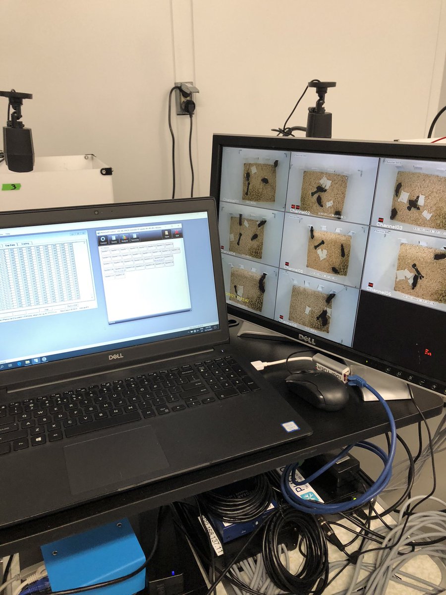 Abbie Schindler, PhD tweet media