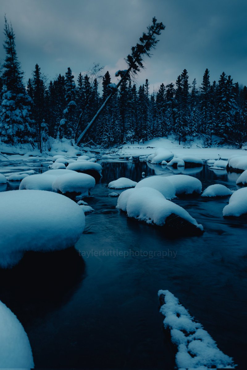 taylerdkittle's tweet photo. @BraydenCreation Moods of Winter 

I've been waiting for the snow, waiting for this moment to be home. Home in the north. 

Tayler Kittle Photography https://t.co/RK65khVcXp