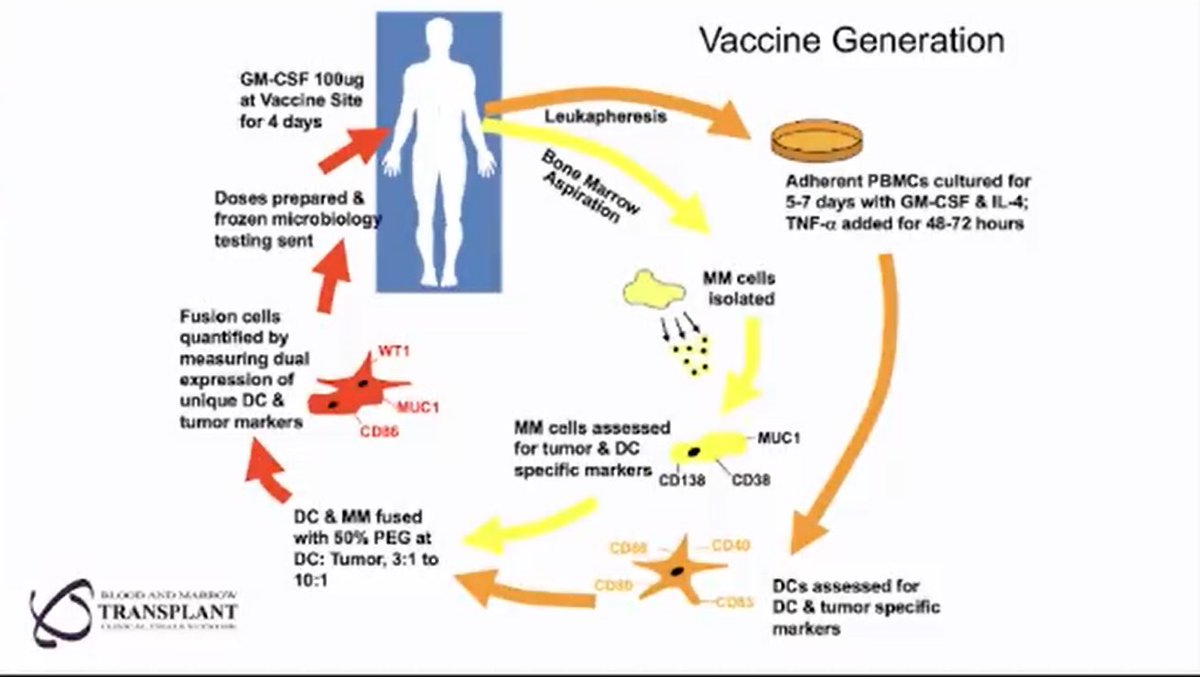 AuclairDan's tweet photo. More on this study #ASH21 #mmsm https://t.co/xNnCbhLMcp
