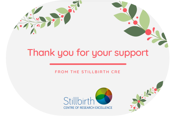 The #StillbirthCRE December Newsletter is out now and you can read it online here: tinyurl.com/22x87xwe