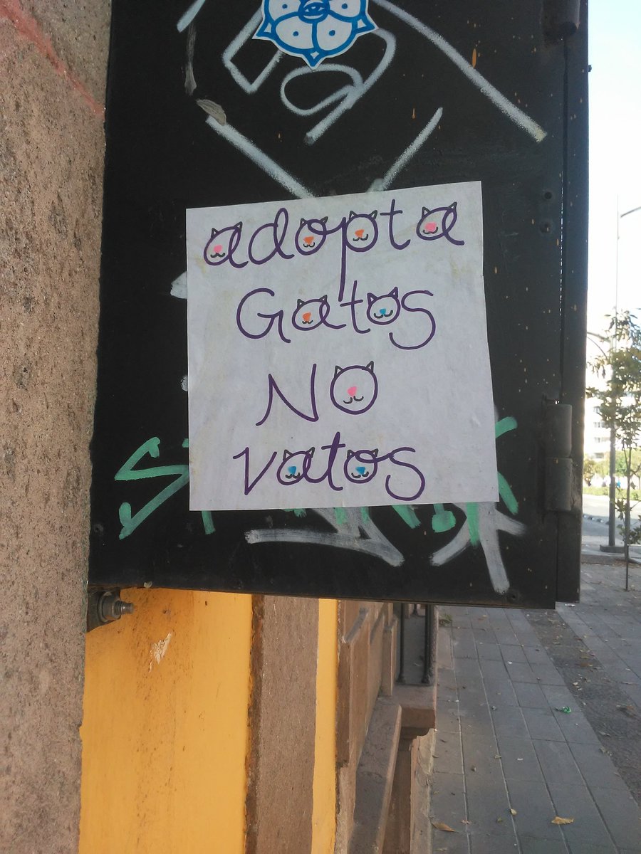 Fabiola Delfín tweet media