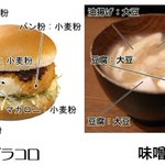 今年もこの季節がやってきた…グラコロと味噌汁の主成分を示してくれるこの図を貼る季節が!