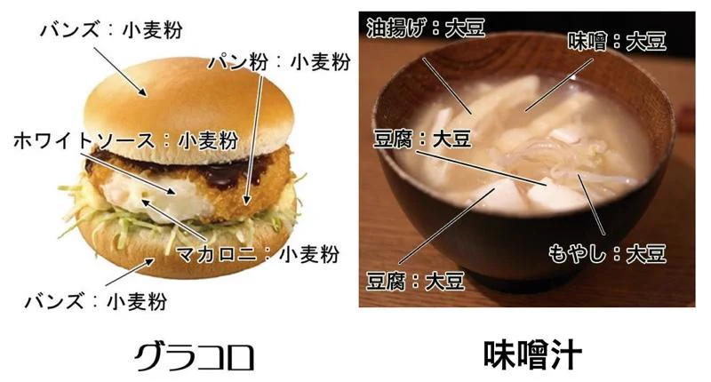 今年もこの季節がやってきた…グラコロと味噌汁の主成分を示してくれるこの図を貼る季節が！