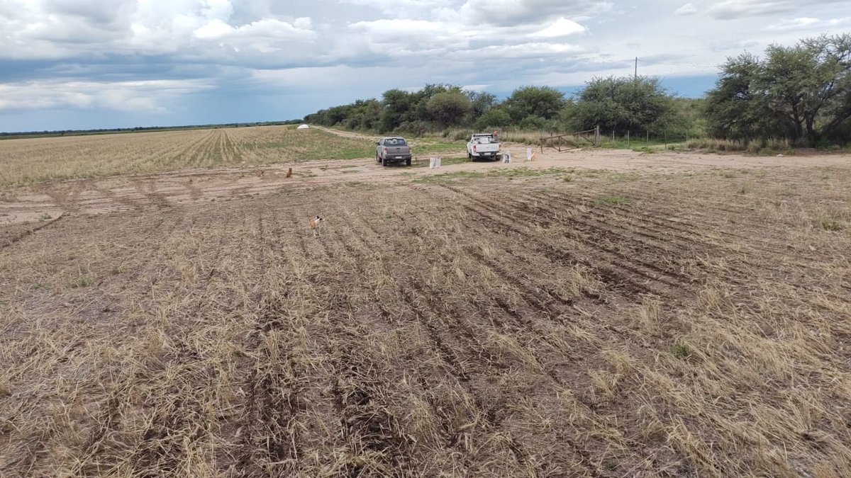 Marcelo Bongiovanni tweet media