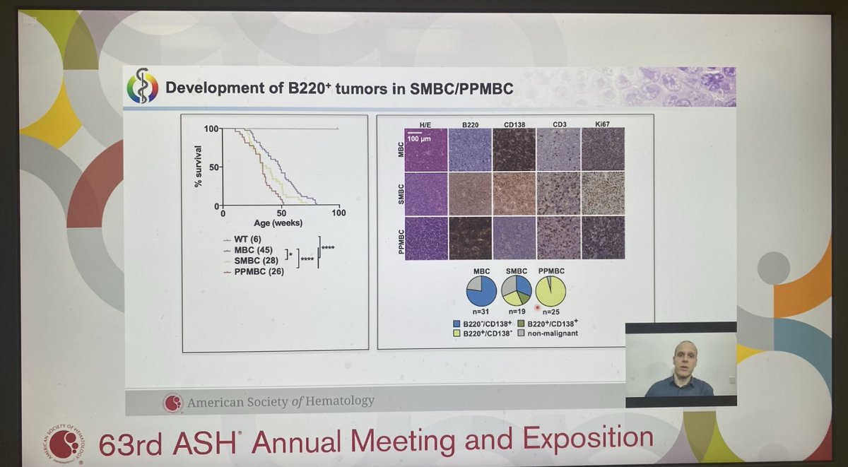 chr_reinhardt's tweet photo. Phenomenal talk and discussion by Gero Knittel from ⁦@UniklinikEssen⁩ at #ASH21 #proudpi https://t.co/wprsZgyx25