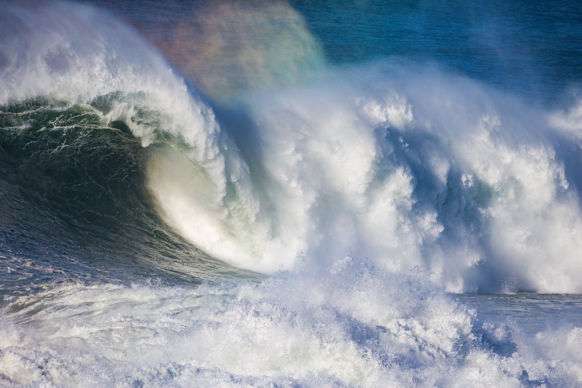 WSL One Ocean tweet media