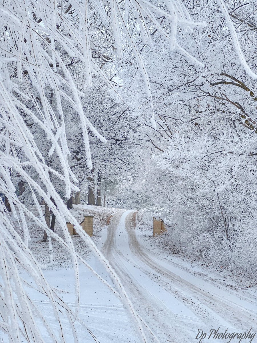 mark_tarello's tweet photo. WOW! Amazing view of frosty trees seen earlier this week from Minnesota Lake, MN. Photo courtesy of David Paal. #MNwx https://t.co/gBKi5Uxl4g