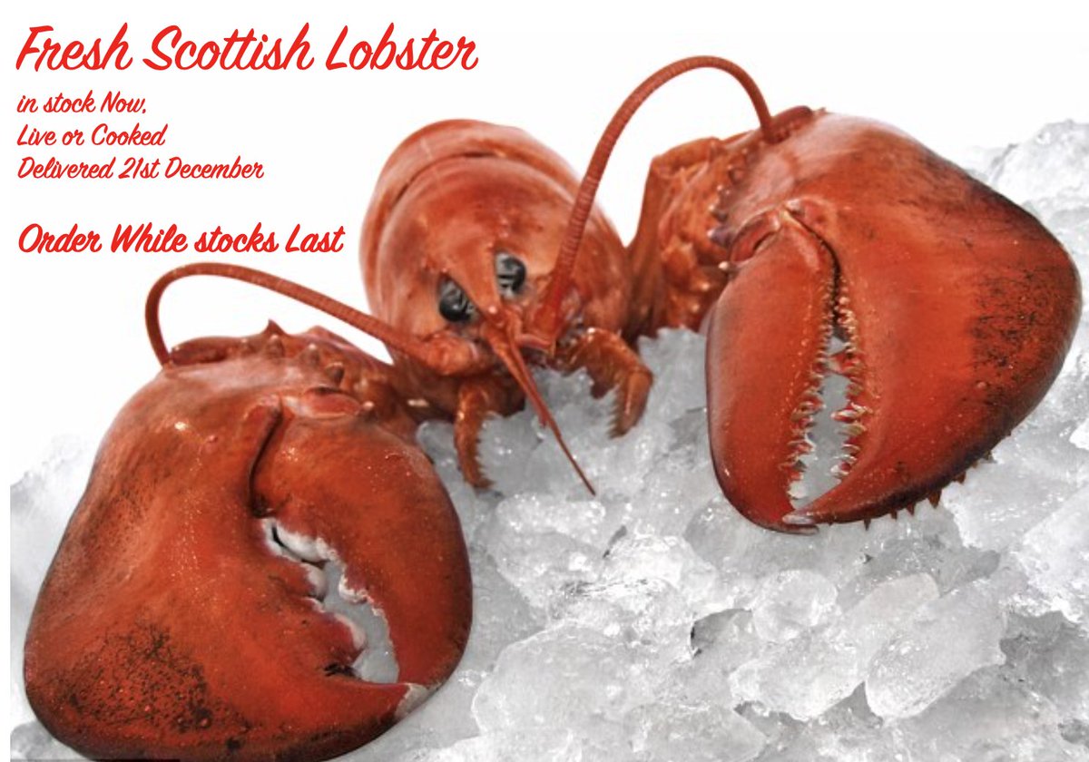 Fresh Lobster for Christmas order Now while stocks last   
berwickshellfish.com/collections/lo…   #lobster  #seafood #shellfish