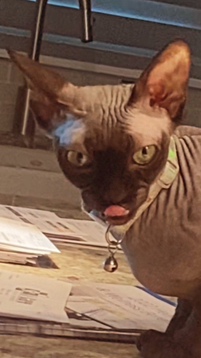 HellsLastVIP's tweet image. My son