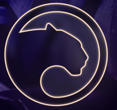 Santiag78758327's tweet photo. LaunchDAO will be the 1st ever community-led private, fully decentralized protocol launch in history. By voting to launch the protocol, the community will collectively launch the @ZKPanther ZKP token on the Ethereum network &amp; kick off the smart contracts of the Protocol. Wow! https://t.co/HtPqTzhfZE