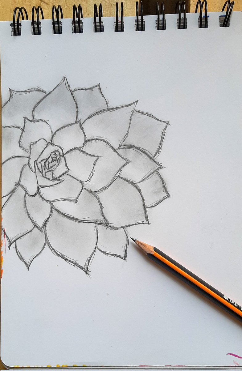 krylovka_m's tweet photo. #drawing #art #idea #flower #ArtistOnTwitter https://t.co/w3T7d1R3z7