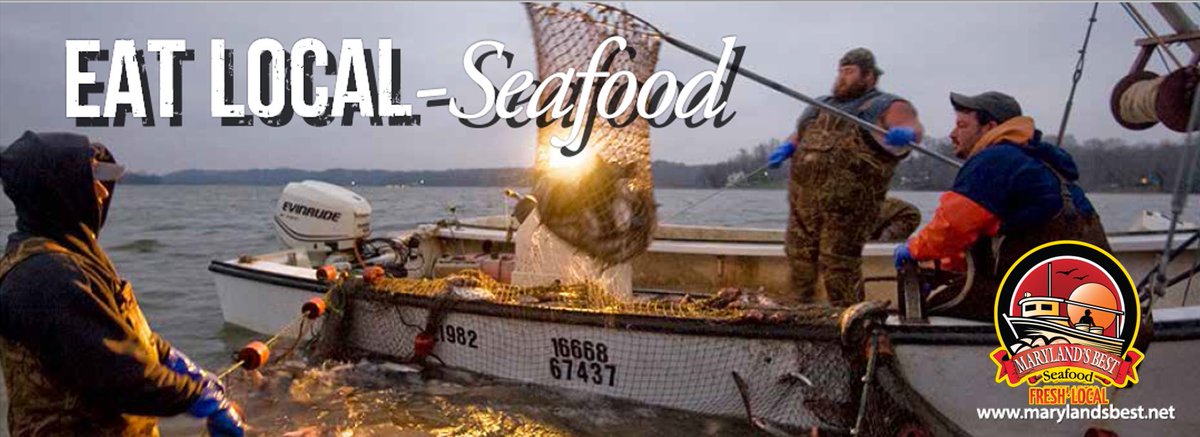 Maryland’s Best Seafood tweet media
