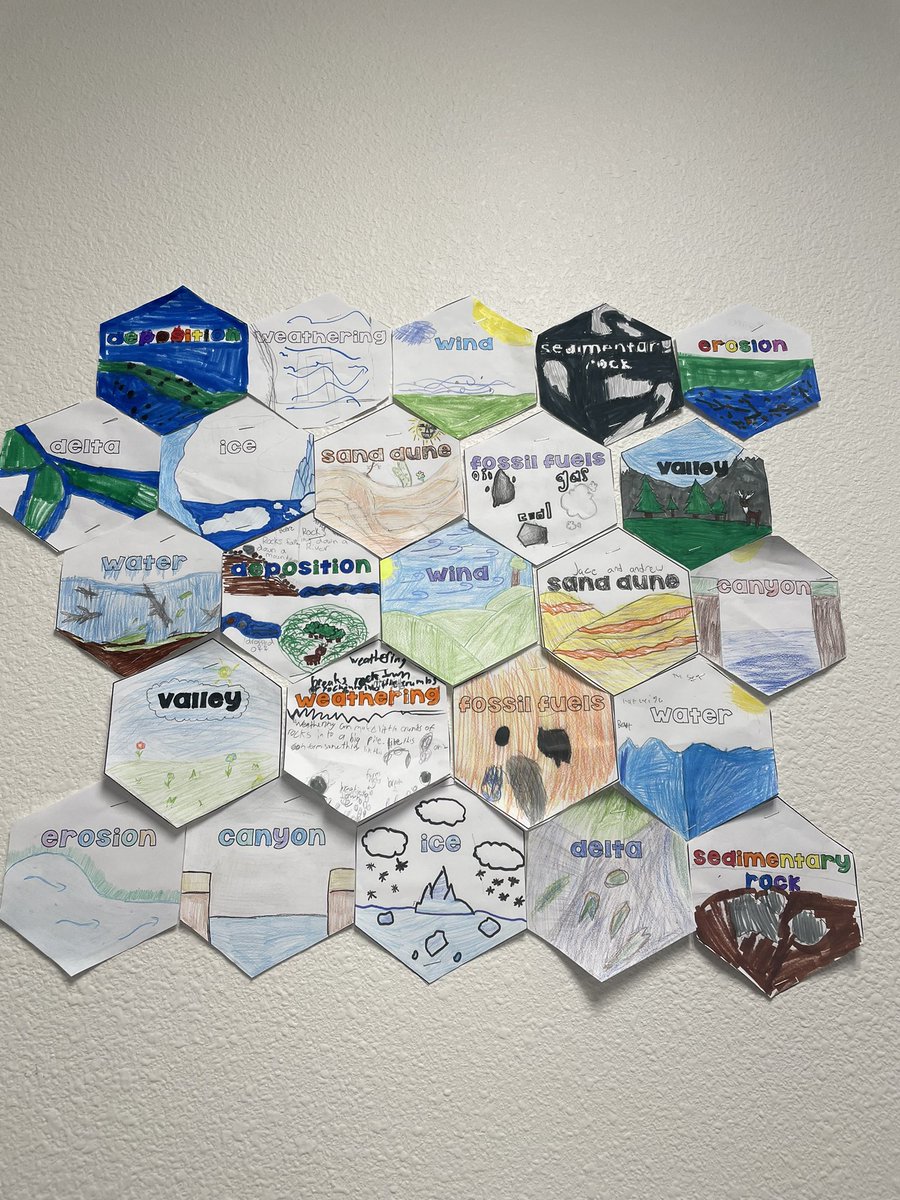 Tamara Bailey tweet media