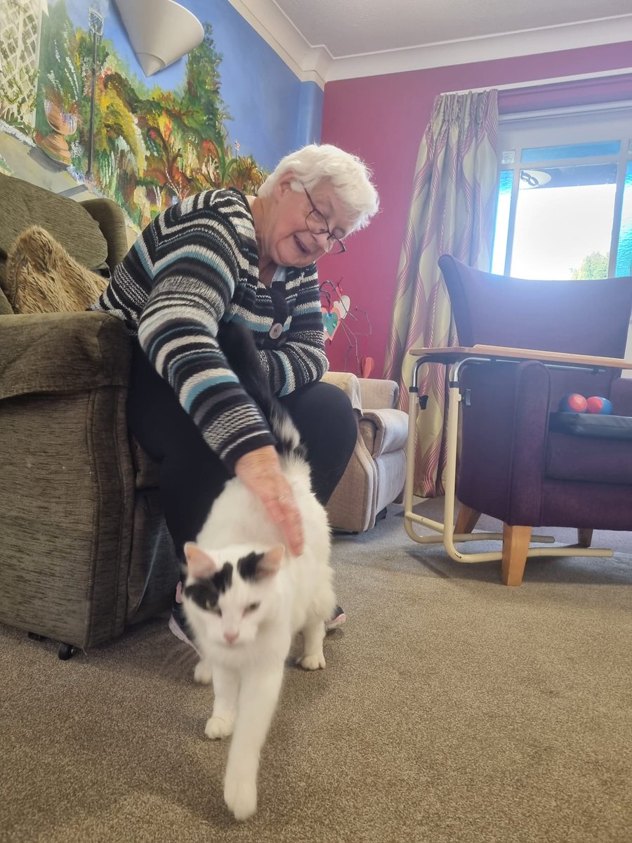 The Firs tweet media