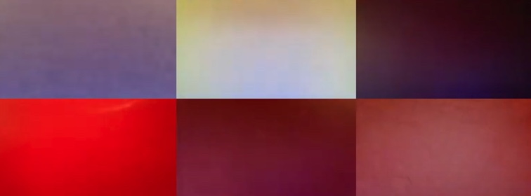 Cabin Fever tweet media